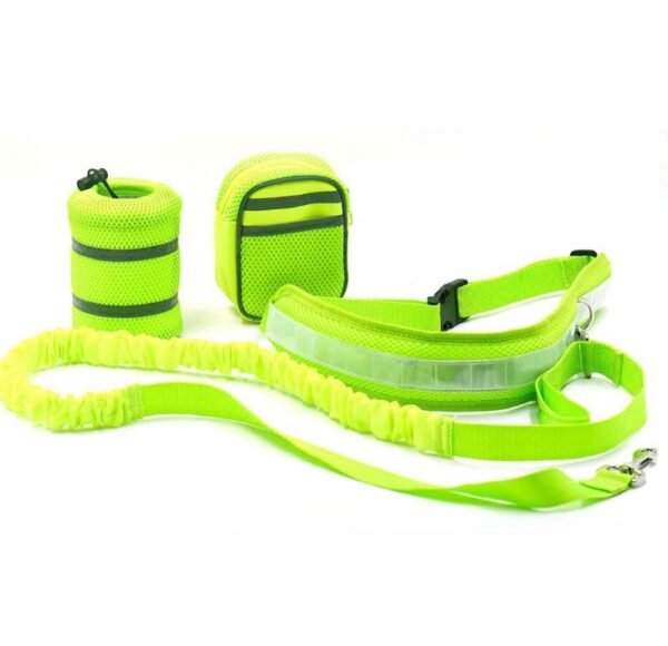 Adjustable Hands Free Dog Leash - Image 3